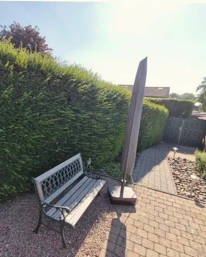 Voor: Hoge haag die uit vorm is gegroeid