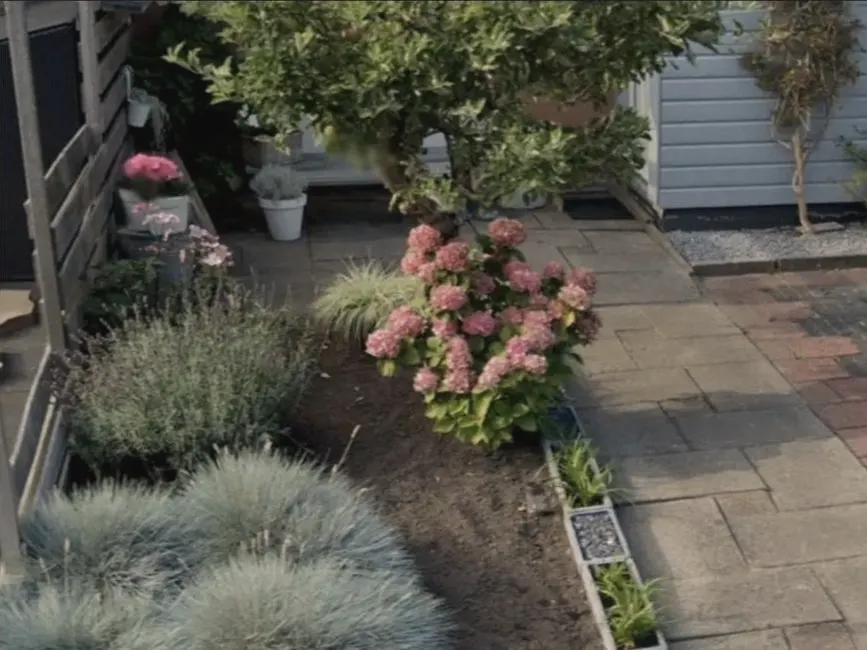 Voor: Voortuin met losse planten en kale aarde